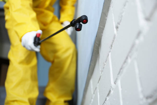 Best Real Estate Pest Inspections  in Brooklyn, WI